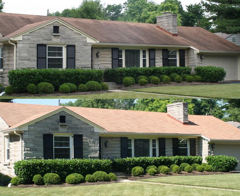 Pressure washing and soft wash roof cleaning